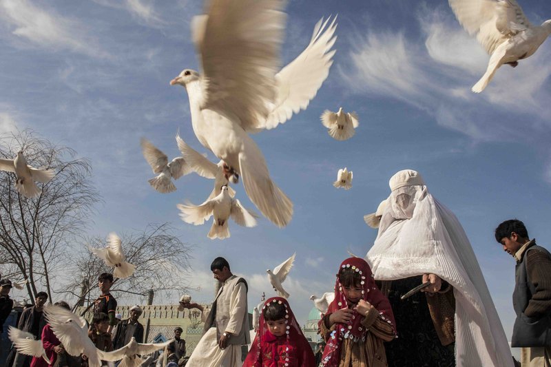 0360bbfd-e033-43f8-a245-08cd99b7ca61